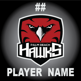 PALM BEACH HAWKS