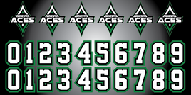 ROCHESTER ACES