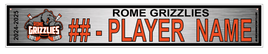 ROME GRIZZLIES