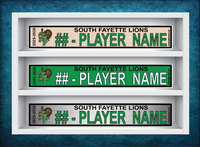 SOUTH FAYETTE LIONS