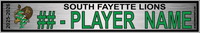 SOUTH FAYETTE LIONS