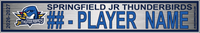 SPRINGFIELD JR THUNDERBIRDS
