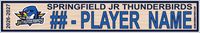 SPRINGFIELD JR THUNDERBIRDS