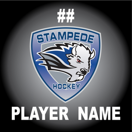 SUSQUEHANNA VALLEY STAMPEDE