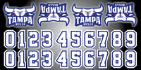 TAMPA BULLS