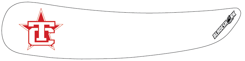 TRAVERSE CITY NORTH STARS