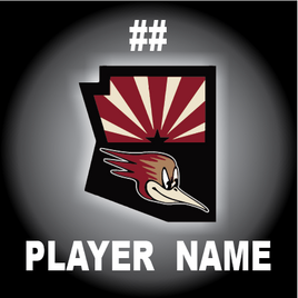 TUCSON JR ROADRUNNERS