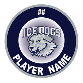 VERNON HILLS ICE DOGS