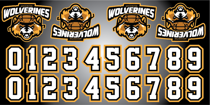 Shop WASHINGTON WOLVERINES Hockey Helmet Decals Kit| BLADESHARK Sports