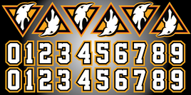 WILKES BARRE JR PENS