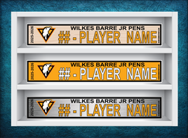 WILKES BARRE JR PENS