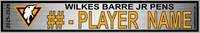 WILKES BARRE JR PENS