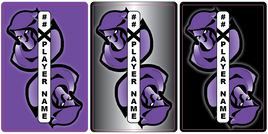 YOUNGSTOWN JR PHANTOMS