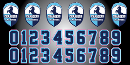 DULUTH CHARGERS
