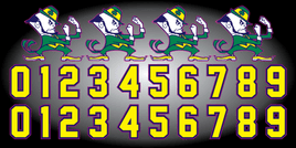 ROSEMOUNT IRISH Helmet Decals