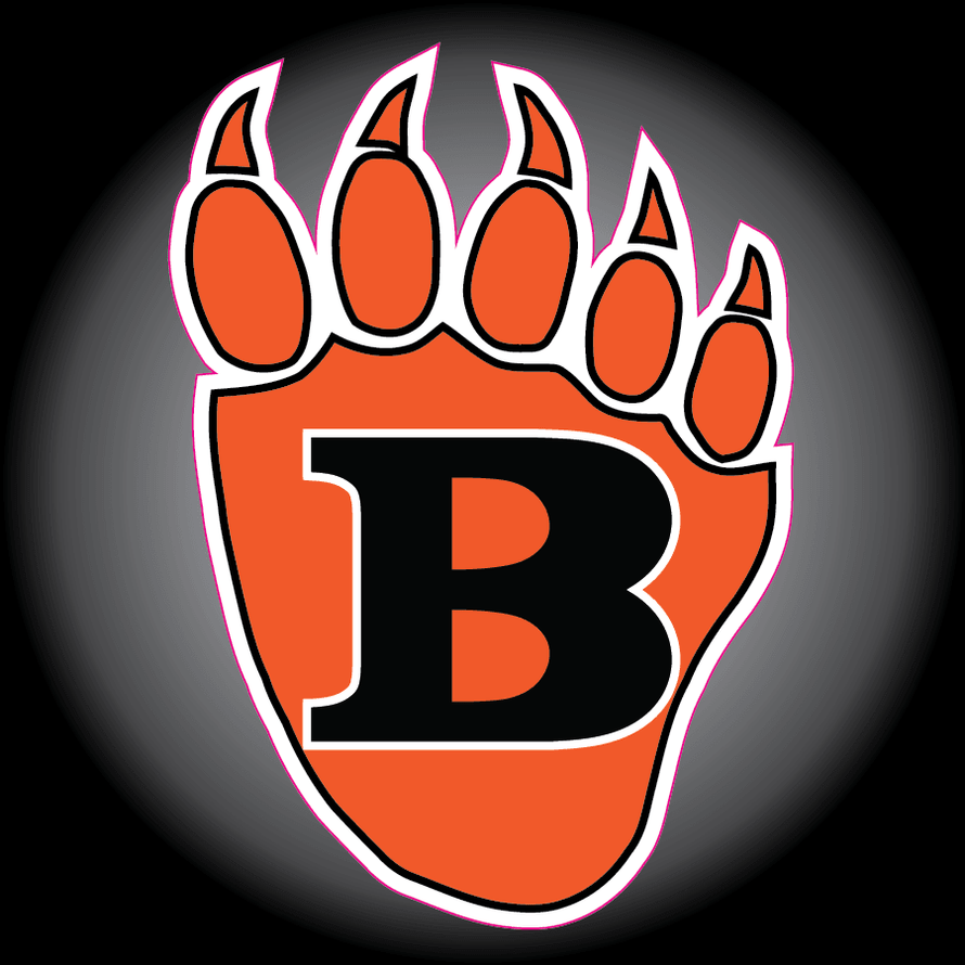 Shop WHITE BEAR LAKE BEARS BLADESHARK Performance Hockey Tape