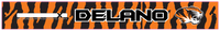 DELANO TIGERS