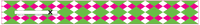HOT PINK/NEON GREEN/WHITE