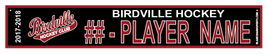 BIRDVILLE Hockey