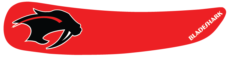 SHAKOPEE SABERS